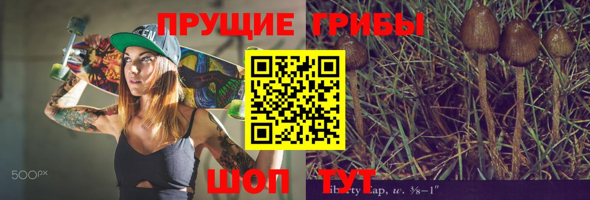 Галлюциногенные грибы MAGIC MUSHROOMS Ишим
